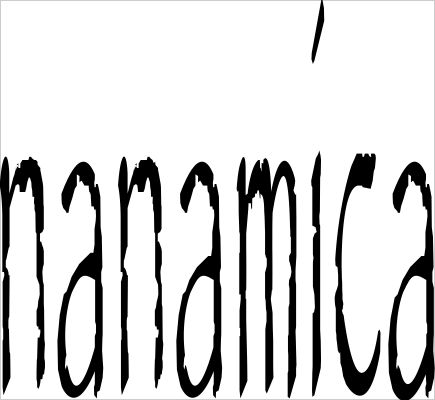 nanamica NEW YORK
